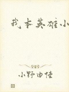 我本英雄小说