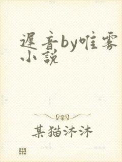 迟音by唯雾的小说