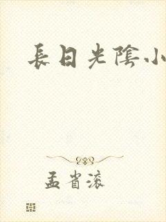 长日光阴小说