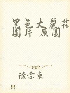 黑色大丽花真实图片 原图