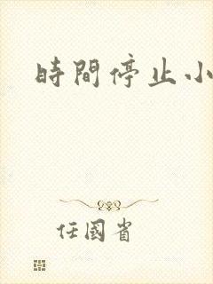 时间停止小说