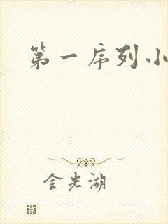 第一序列小说封面