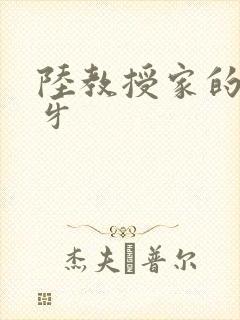 陆教授家的小月牙