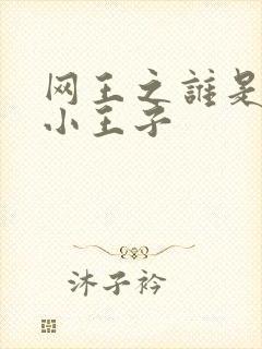 网王之谁是我的小王子封面