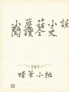 小蘑菇小说免费阅读全文