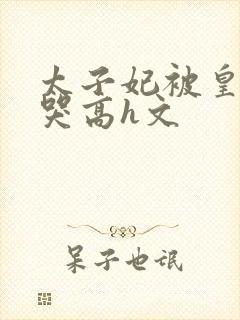 太子妃被皇上c哭高h文封面