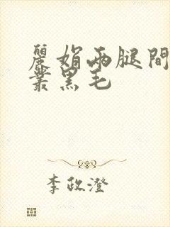 丽娟两腿间一大丛黑毛封面