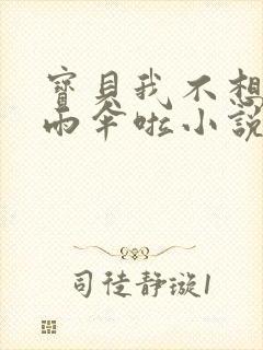 宝贝我不想带小雨伞啦小说