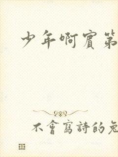 少年啊宾第二部