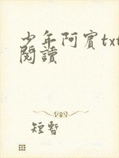 少年阿宾txt阅读