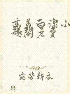 高义白洁小说笔趣阁免费封面