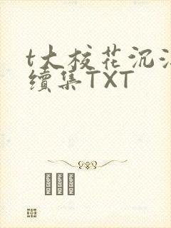 t大校花沉浮录续集TXT