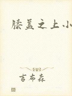 膝盖之上小说封面