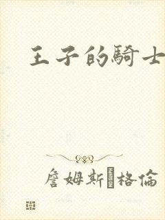 王子的骑士小说