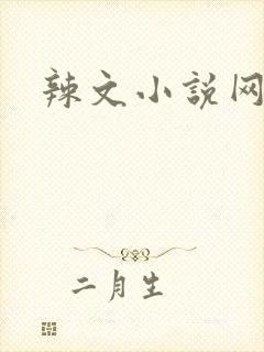 辣文小说网