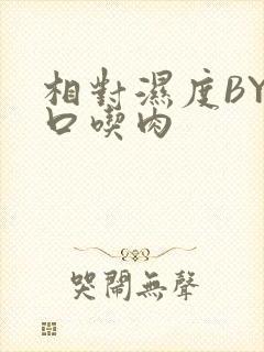 相对湿度BY大口吃肉