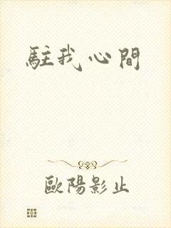 驻我心间封面