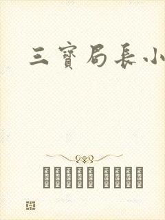 三宝局长小说封面