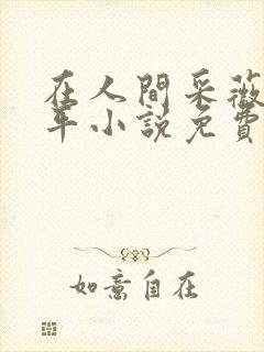 在人间采薇陆三平小说免费阅读