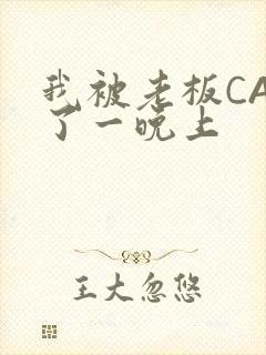 我被老板CAO了一晚上