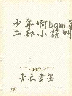 少年啊bgm第二部小说叫什么封面