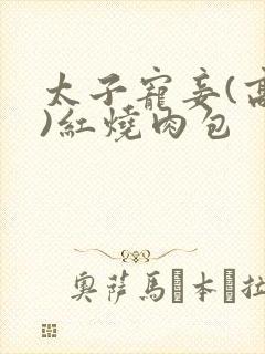 太子宠妾(高肉)红烧肉包