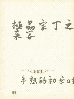 极品家丁之远方来客