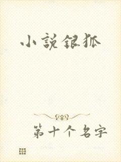 小说银狐