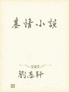 基情小说