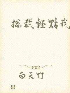 总裁轻点我怕疼封面