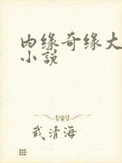 内缘奇缘大团圆小说封面