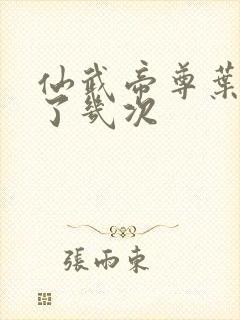 仙武帝尊叶辰死了几次