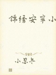 锦绣安宁小说