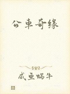 公车奇缘