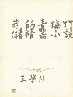 我的青梅竹马是储精器小说