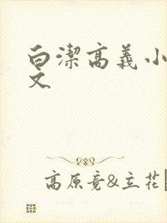 白洁高义小说全文