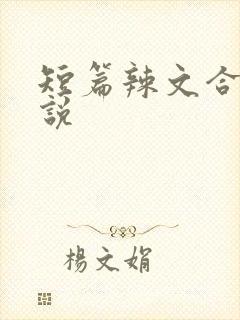 短篇辣文合集小说