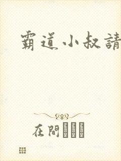 霸道小叔请轻撩封面