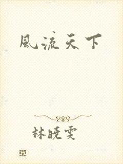风流天下封面