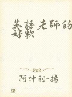 英语老师的兔子好软封面