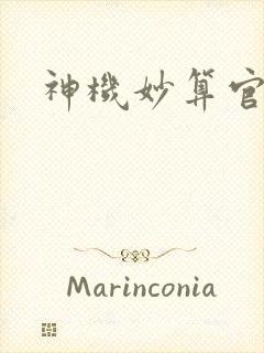 神机妙算官网封面