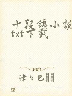 十段锦小说全本txt下载