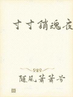 寸寸销魂夜春光