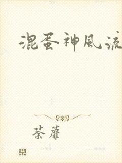 混蛋神风流史补封面