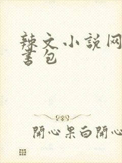 辣文小说网第二书包