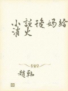 小说后妈给我消消火