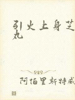 引火上身芝麻糖丸