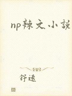 np辣文小说封面