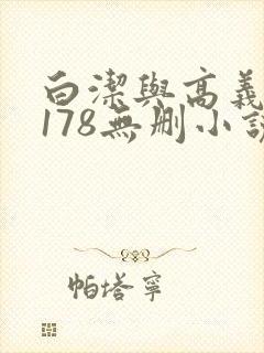 白洁与高义1～178无删小说封面