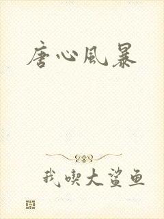 唐心风暴